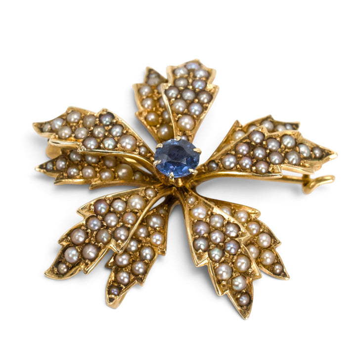 Victorian Seed Pearl and Sapphire Flower Brooch in 14K Gold