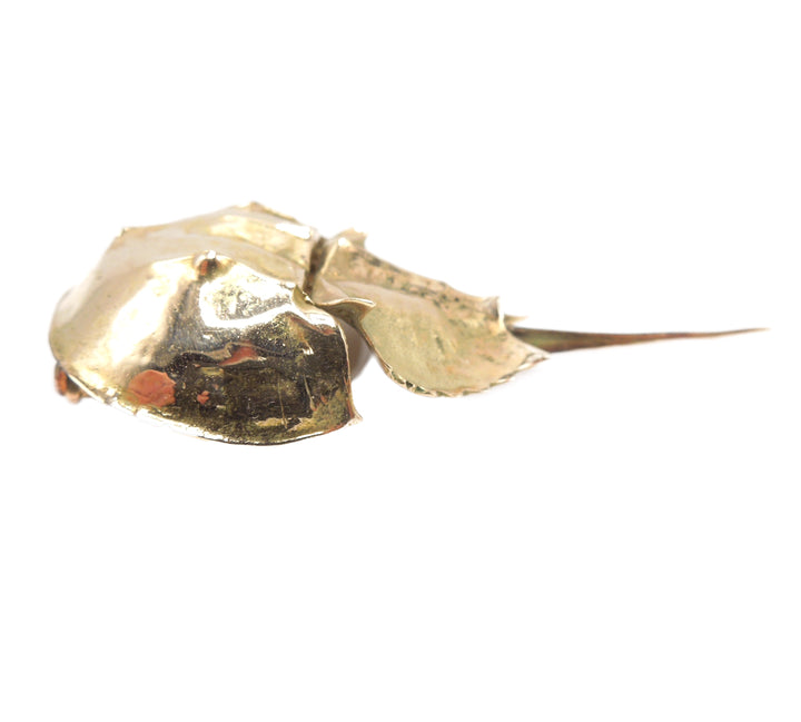Large 14K Yellow Gold Articulated Horseshoe Crab Pendant Brooch