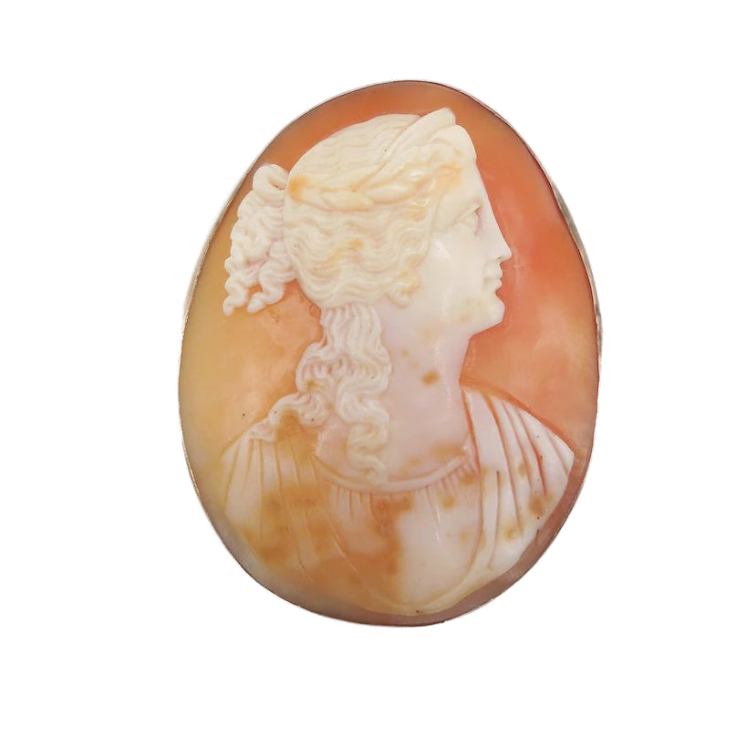 Antique Shell Cameo Pin Brooch in 10K Yellow Gold Bezel